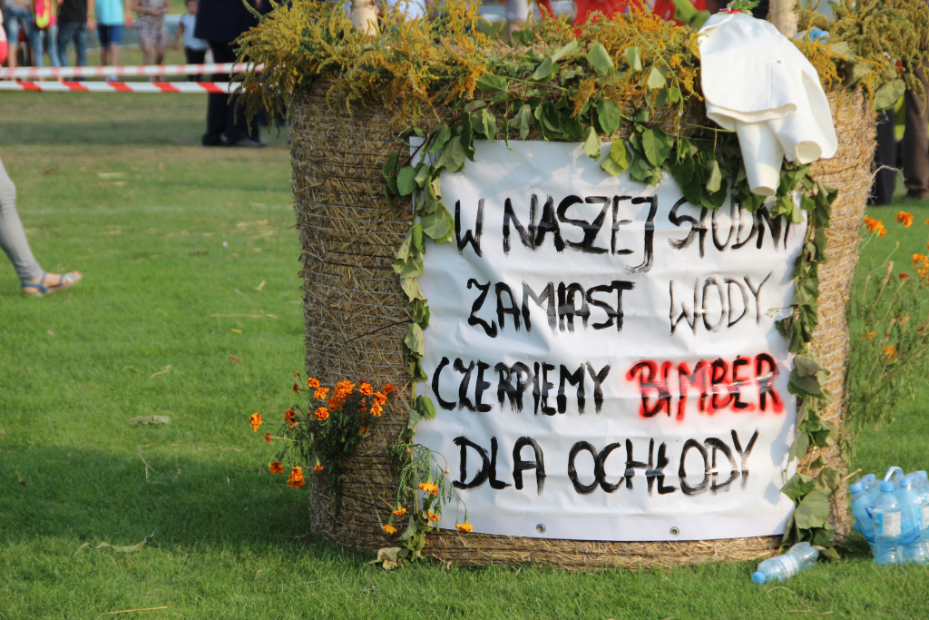 Dożynki w obiektywie Kuriera. Zobacz zdjęcia