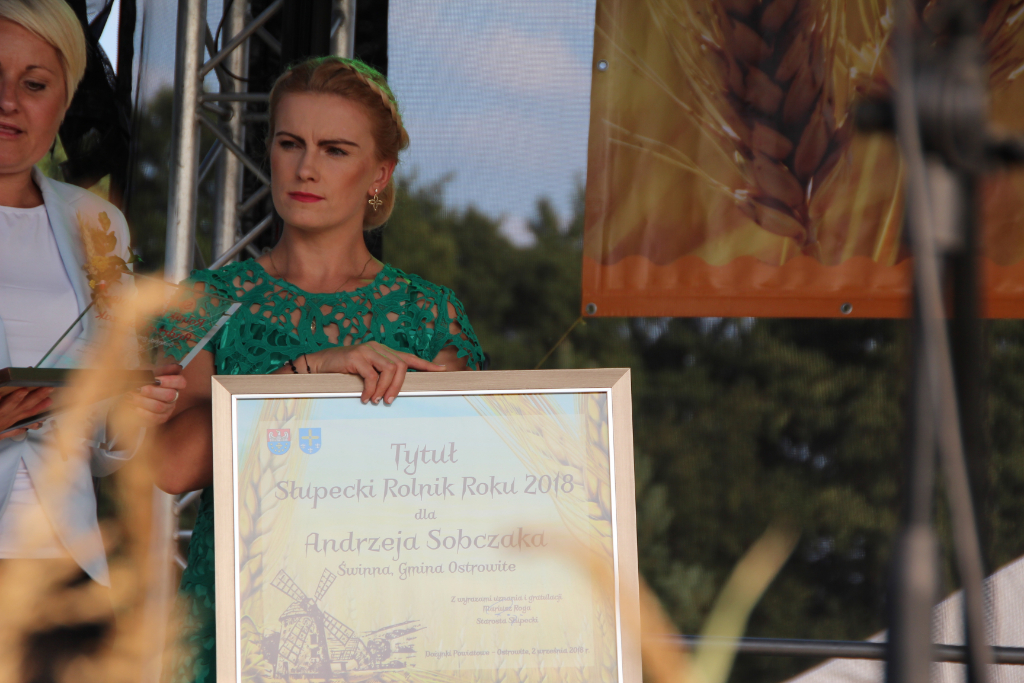 Dożynki w obiektywie Kuriera. Zobacz zdjęcia