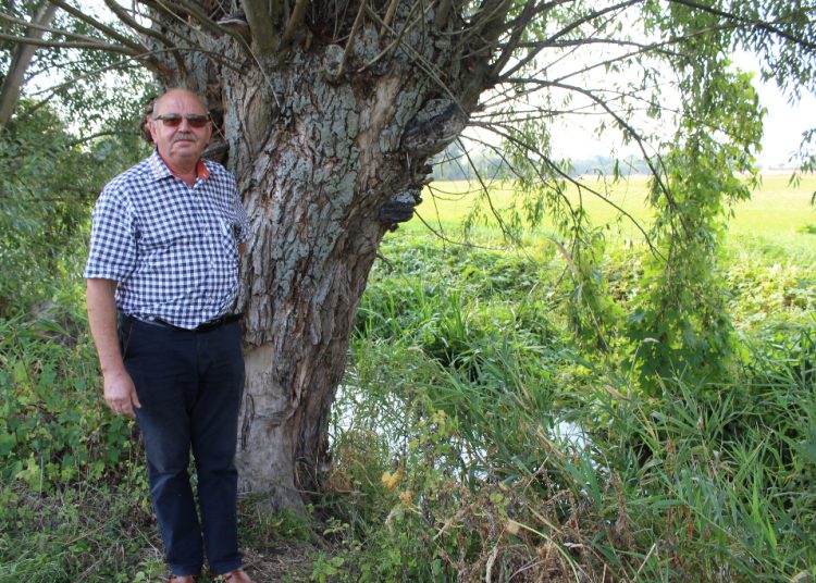 Straszny smród i martwe ryby w Wierzbocicach