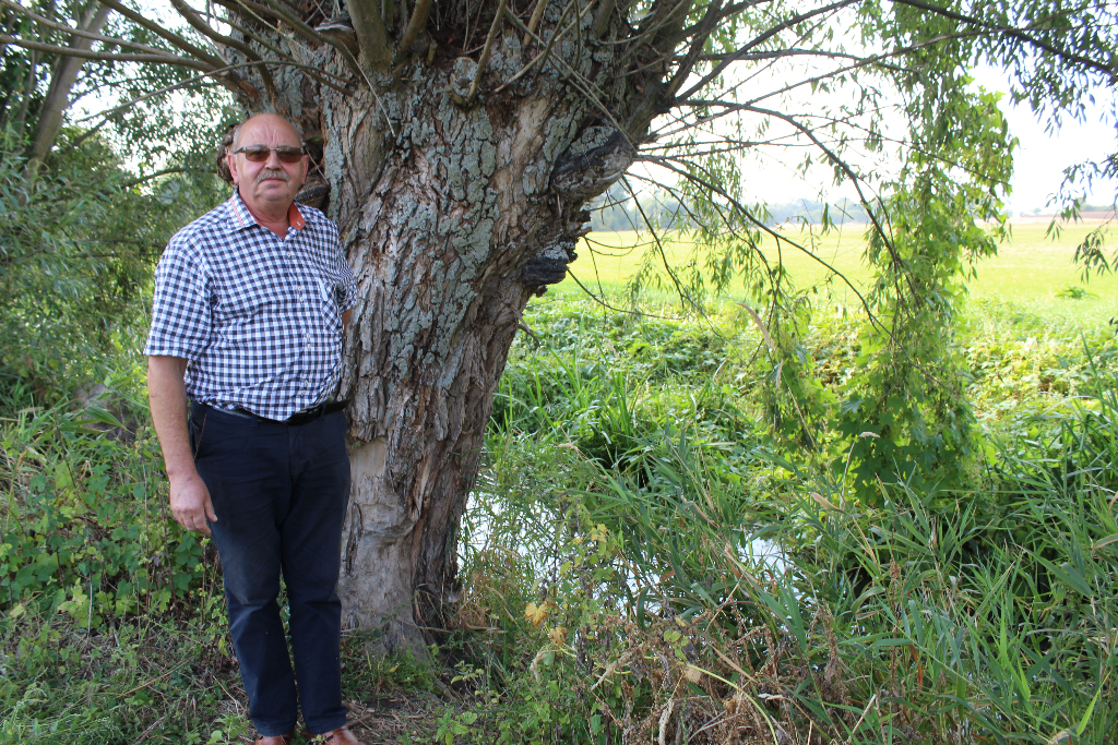 Straszny smród i martwe ryby w Wierzbocicach