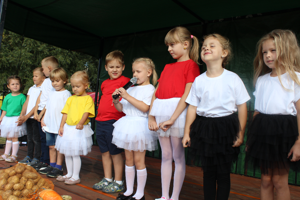 Pyrka w Piotrowicach