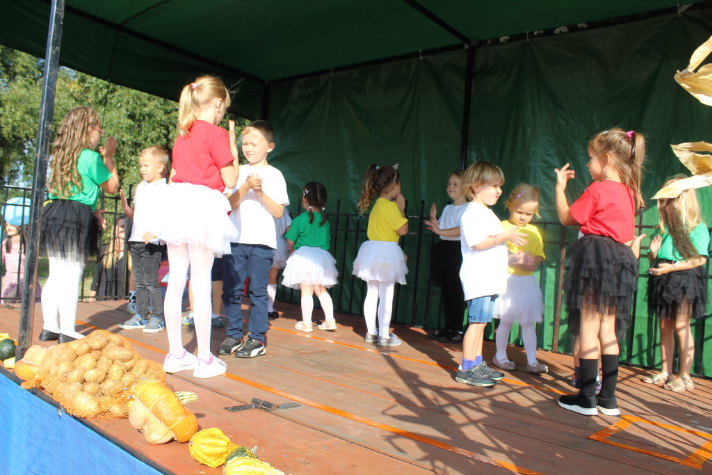 Pyrka w Piotrowicach