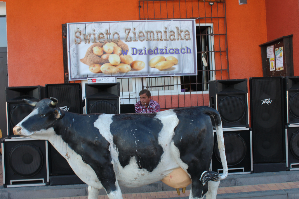 Pyrka w Dziedzicach. Zobacz zdjęcia