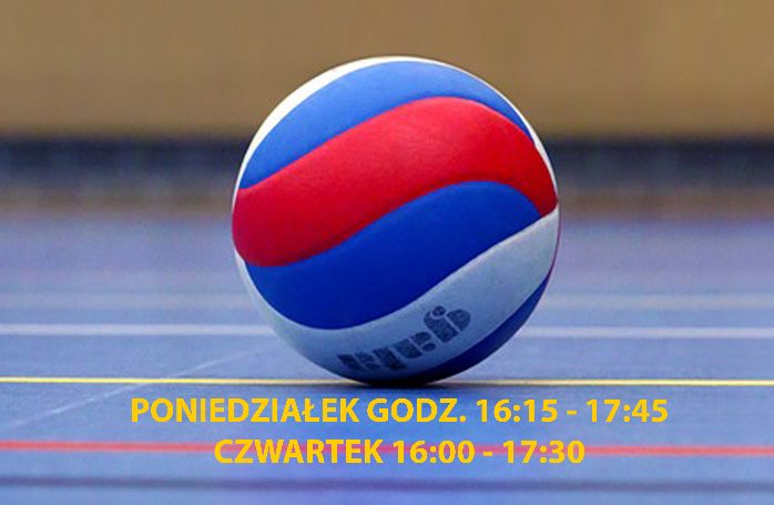 Zapraszają na zajęcia z mini siatkówki