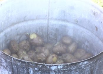 Tłumy na imprezie w Piotrowicach. Zobacz film