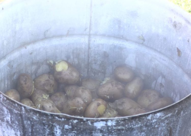 Tłumy na imprezie w Piotrowicach. Zobacz film