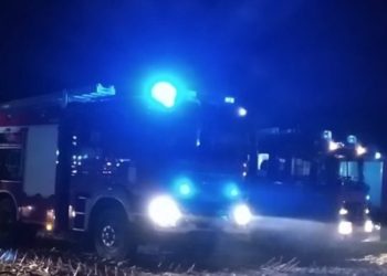 Pożar w Paruszewie. Strażacy w akcji