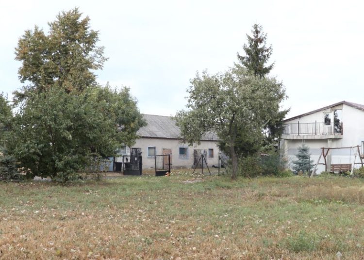 Pogonił złodziei z podwórka