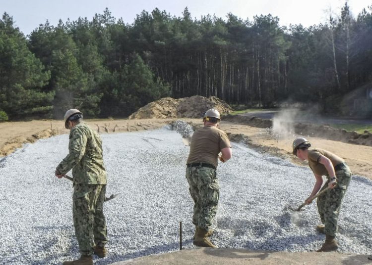 Powidz: 38 hektarów lasu pod topór!