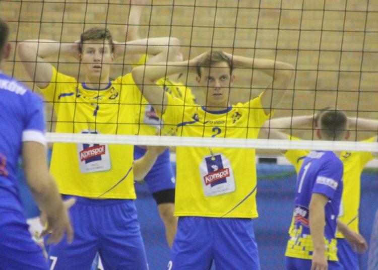 Wilki Wilczyn na przełamanie