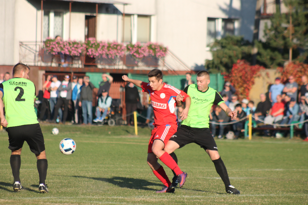 Podział punktów. Zobacz zdjęcia