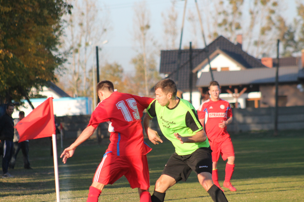 Podział punktów. Zobacz zdjęcia