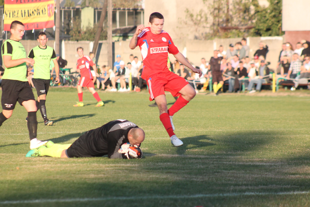 Podział punktów. Zobacz zdjęcia