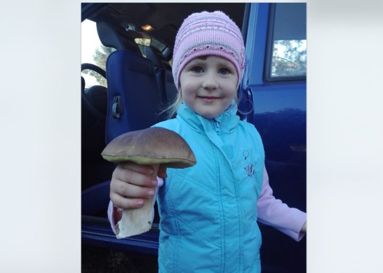 Myślisz, że nie ma grzybów? Zobacz