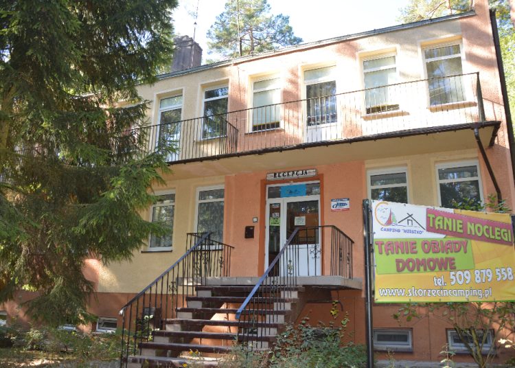 Mieszko będzie do wzięcia