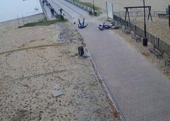 Wypadek na molo. Zginęło zwierzę