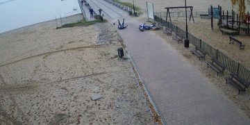 Wypadek na molo. Zginęło zwierzę