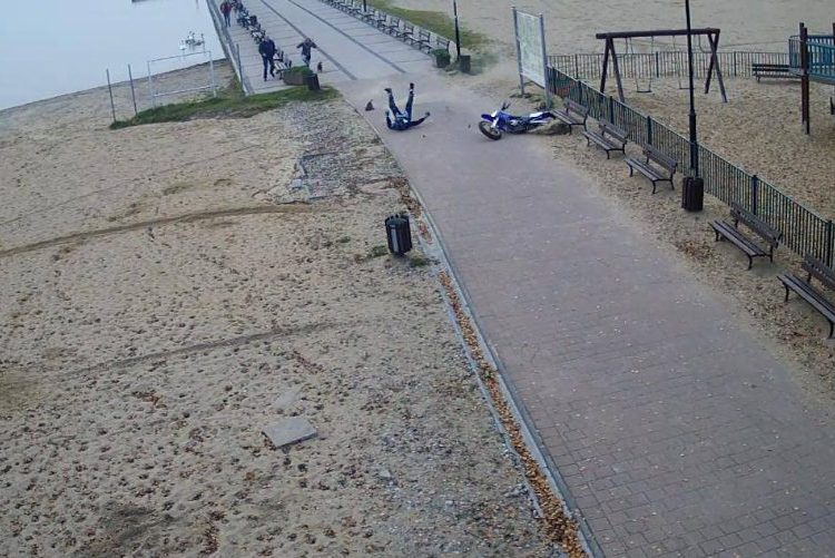 Wypadek na molo. Zginęło zwierzę