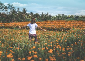 Jak dobrze wybrać ubezpieczenie na życie?