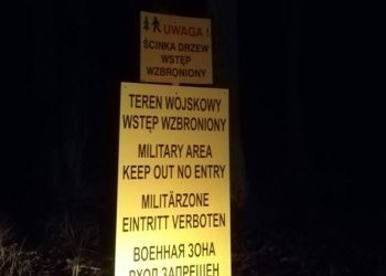 Powidz: Trwa wycinka lasu FILM i ZDJĘCIA