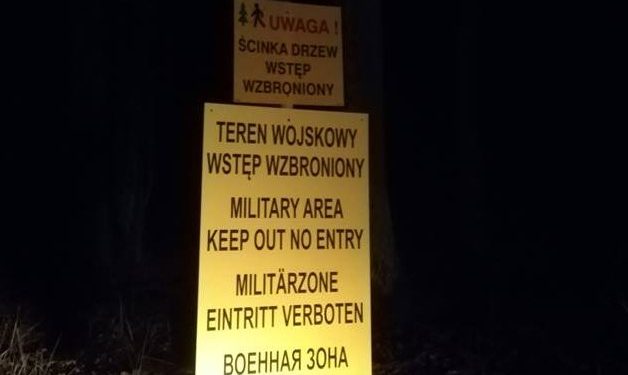 Powidz: Trwa wycinka lasu FILM i ZDJĘCIA