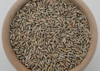 Większy podatek rolny w gminie Słupca