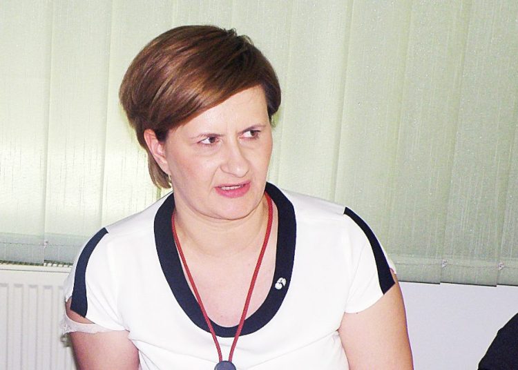 Ekonomik ze Srebrną Tarczą Perspektyw 2019