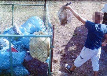 Ukryta kamera przy śmietnikach. Kilka osób wpadło już w fotopułapkę