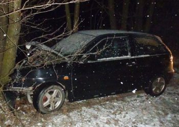 Dziedzice: Czołowo uderzył w drzewo