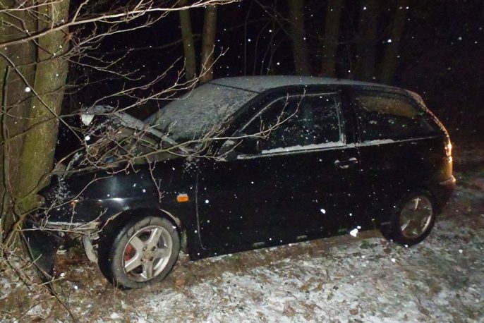 Dziedzice: Czołowo uderzył w drzewo