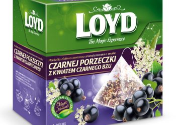 Herbata Loyd z czarną porzeczką i bzem – nie tylko na przeziębienie