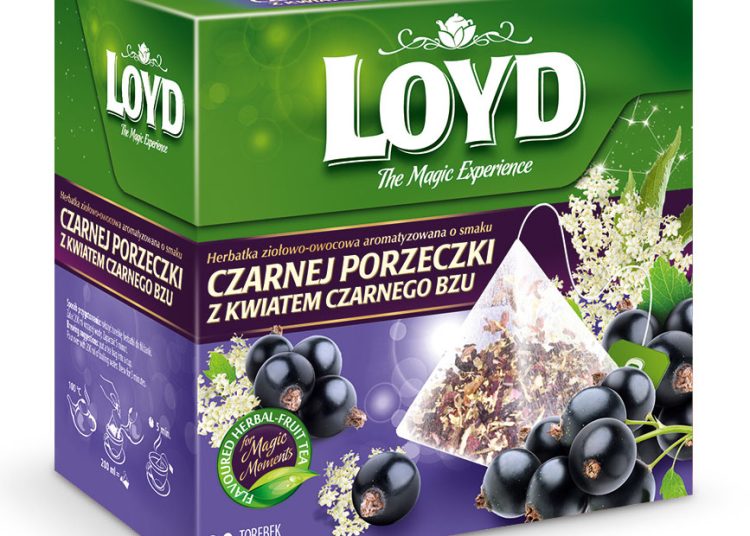 Herbata Loyd z czarną porzeczką i bzem – nie tylko na przeziębienie