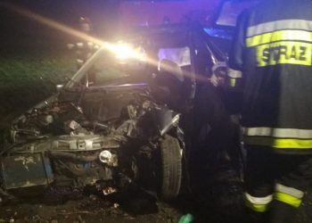 Auto uderzyło w drzewo. Strażacy wycinali poszkodowanego ZDJĘCIA