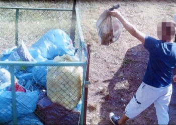 Gmina wygrała z działkowiczem