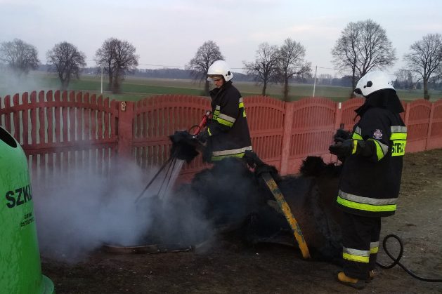 Na cmentarzu wybuchł pożar