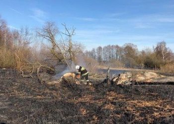 Płonęły 2 hektary łąki. Nie wypalajmy traw!