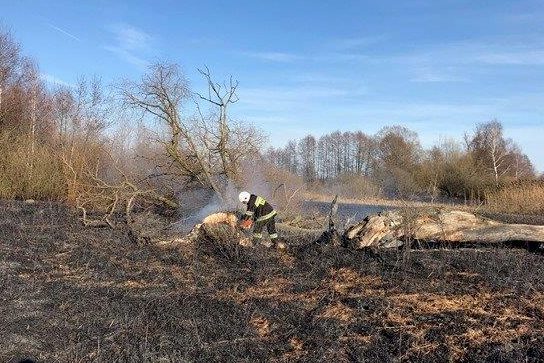 Płonęły 2 hektary łąki. Nie wypalajmy traw!