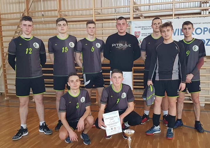 Zawodówka siatkarskim mistrzem rejonu