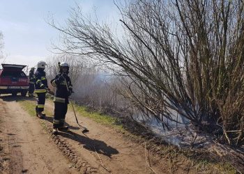 Gasili pożar w Lądzie