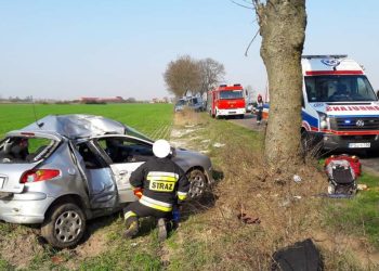 Uderzyła w drzewo. Helikopter zabrał ją do szpitala