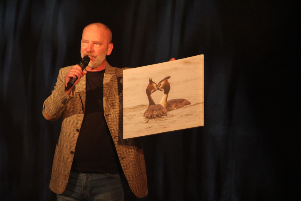 Wystąpili dla Julki. Zobacz zdjęcia z koncertu