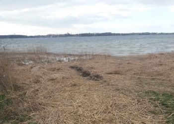 Kosewo: Zostawili bałagan nad jeziorem