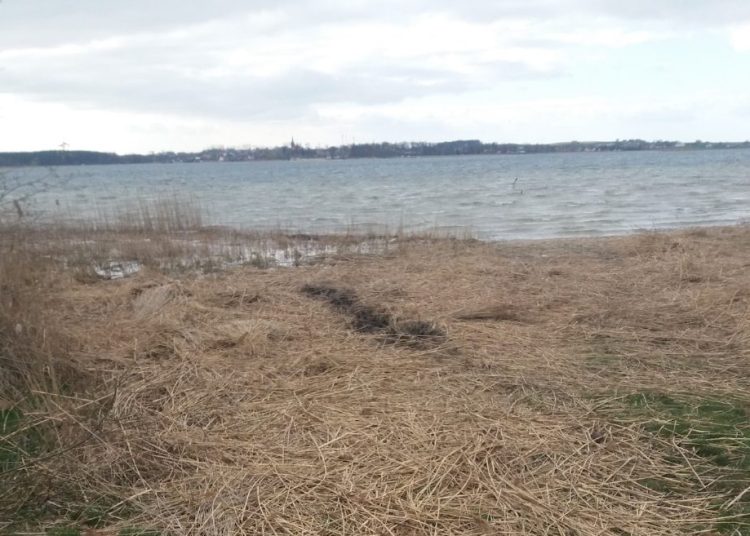 Kosewo: Zostawili bałagan nad jeziorem