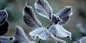 Wczoraj prawie lato, a jutro… przymrozki