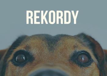 Najlepsze rekordy Guinnessa