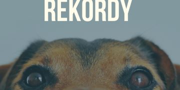 Najlepsze rekordy Guinnessa