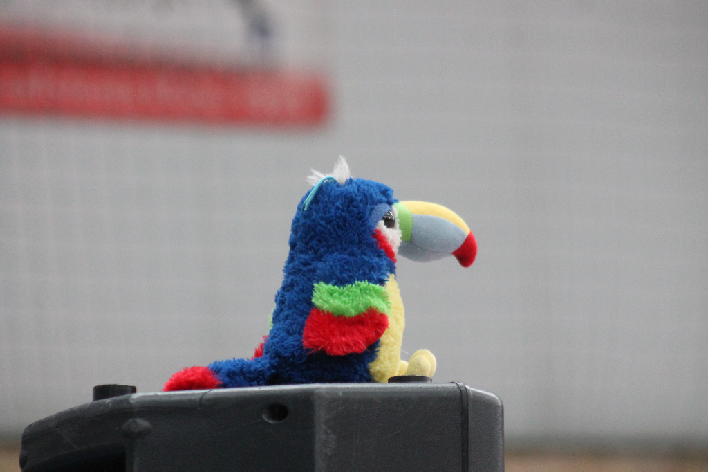 Koszykarscy kadrowicze gościli w Słupcy