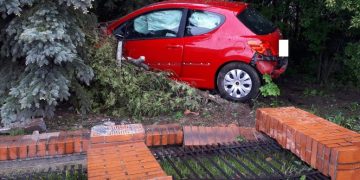 Wypadł z drogi, skasował ogrodzenie ZDJĘCIA