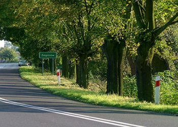 Bestialsko zabił swojego psa!