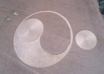 Orchowo: Pierwszy piktogram od kilku lat